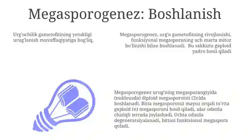Megasporogenez: Boshlanish 3