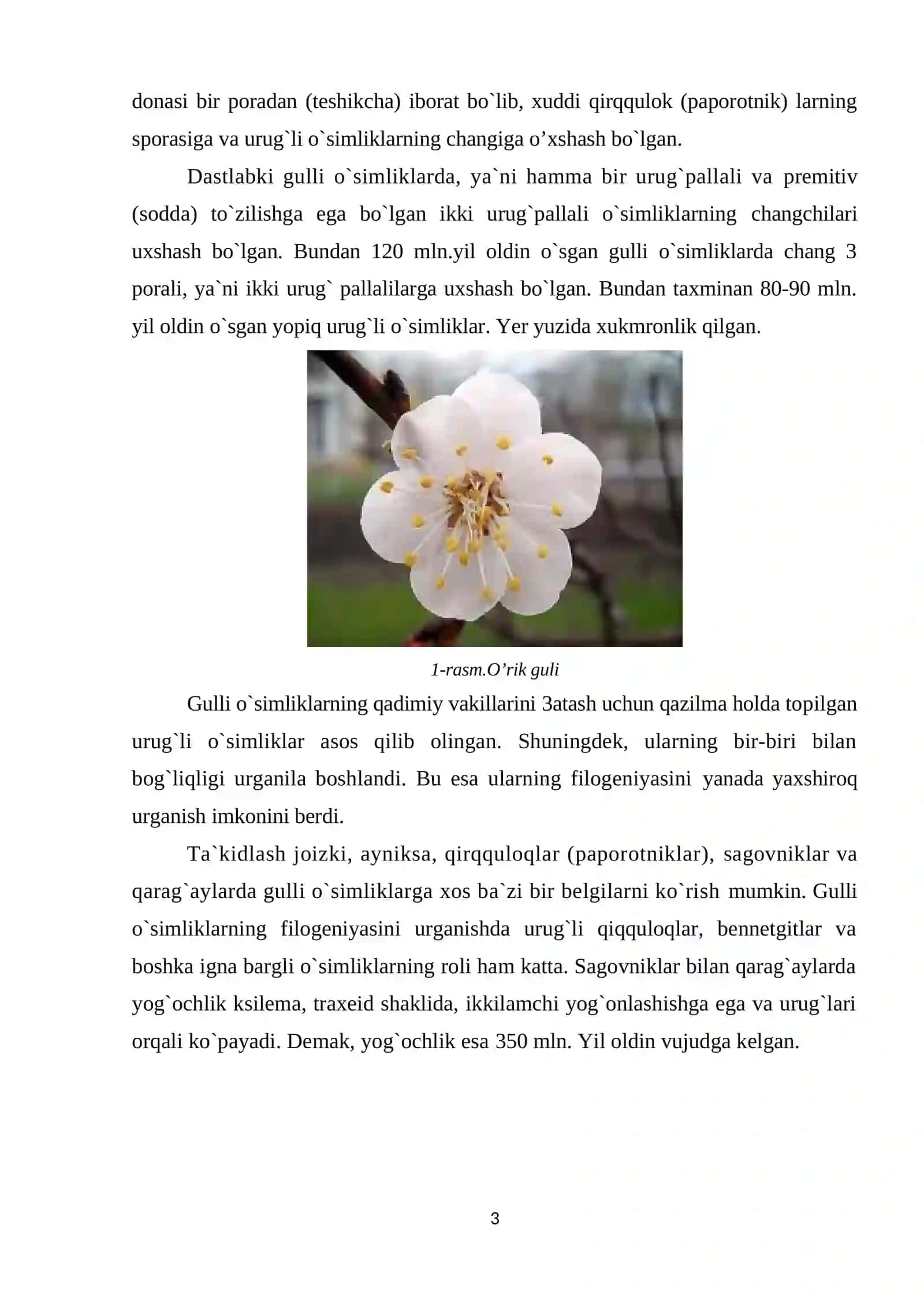 Gulli o`simliklarning kelib chiqishi 3