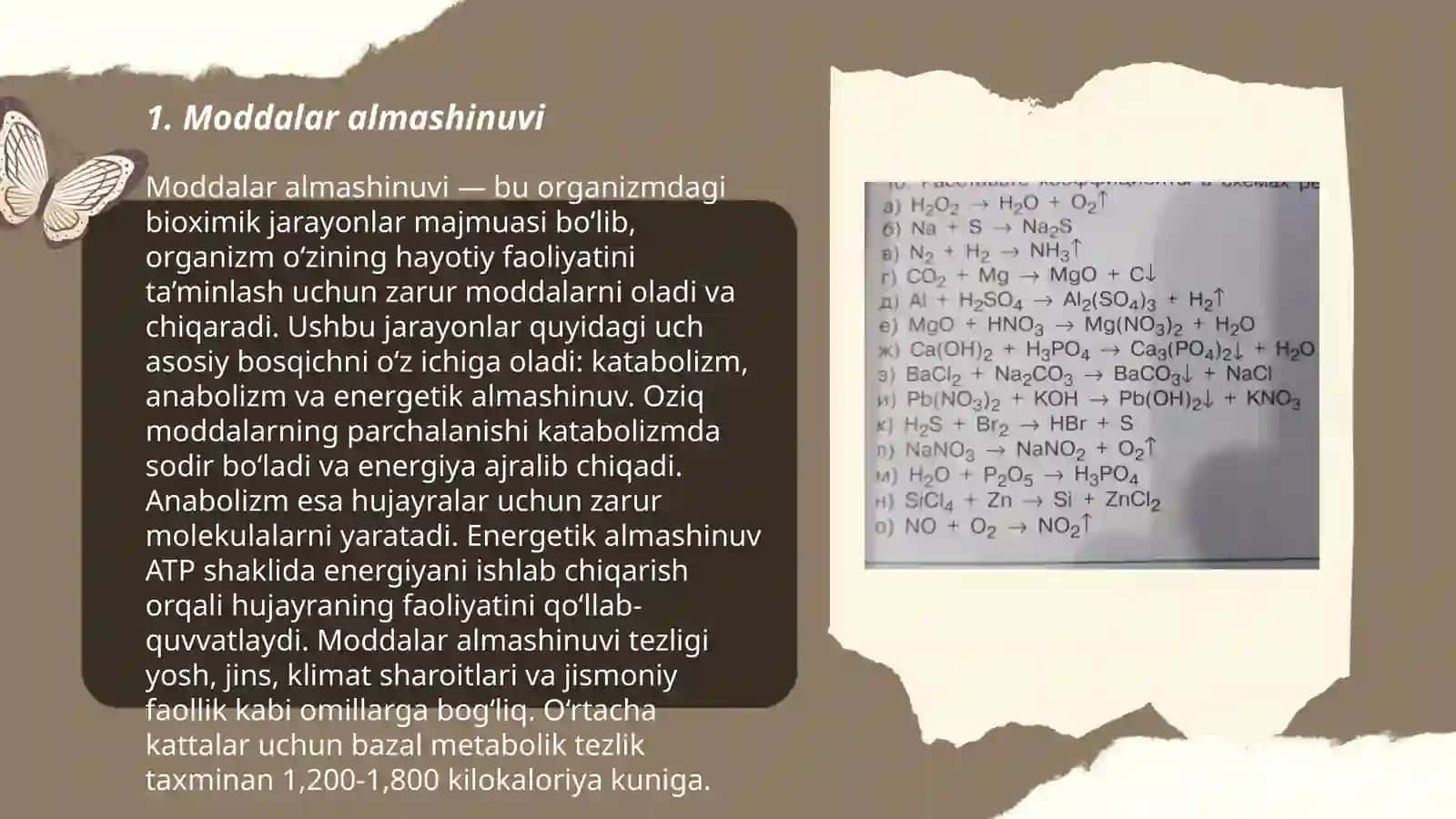 Oʻsimlik toʻqimalari 3