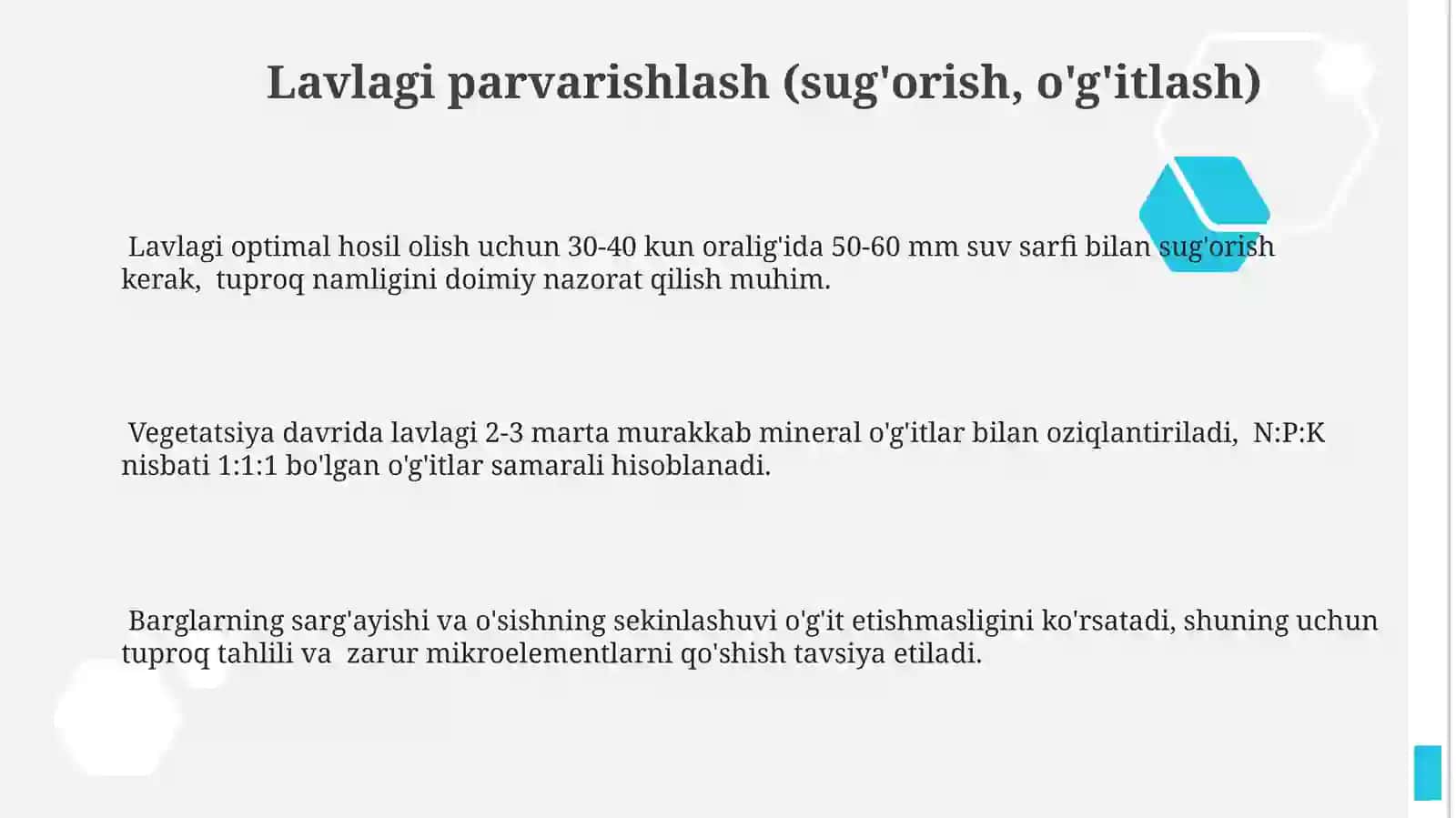 Lavlagi oʻsimlik 3