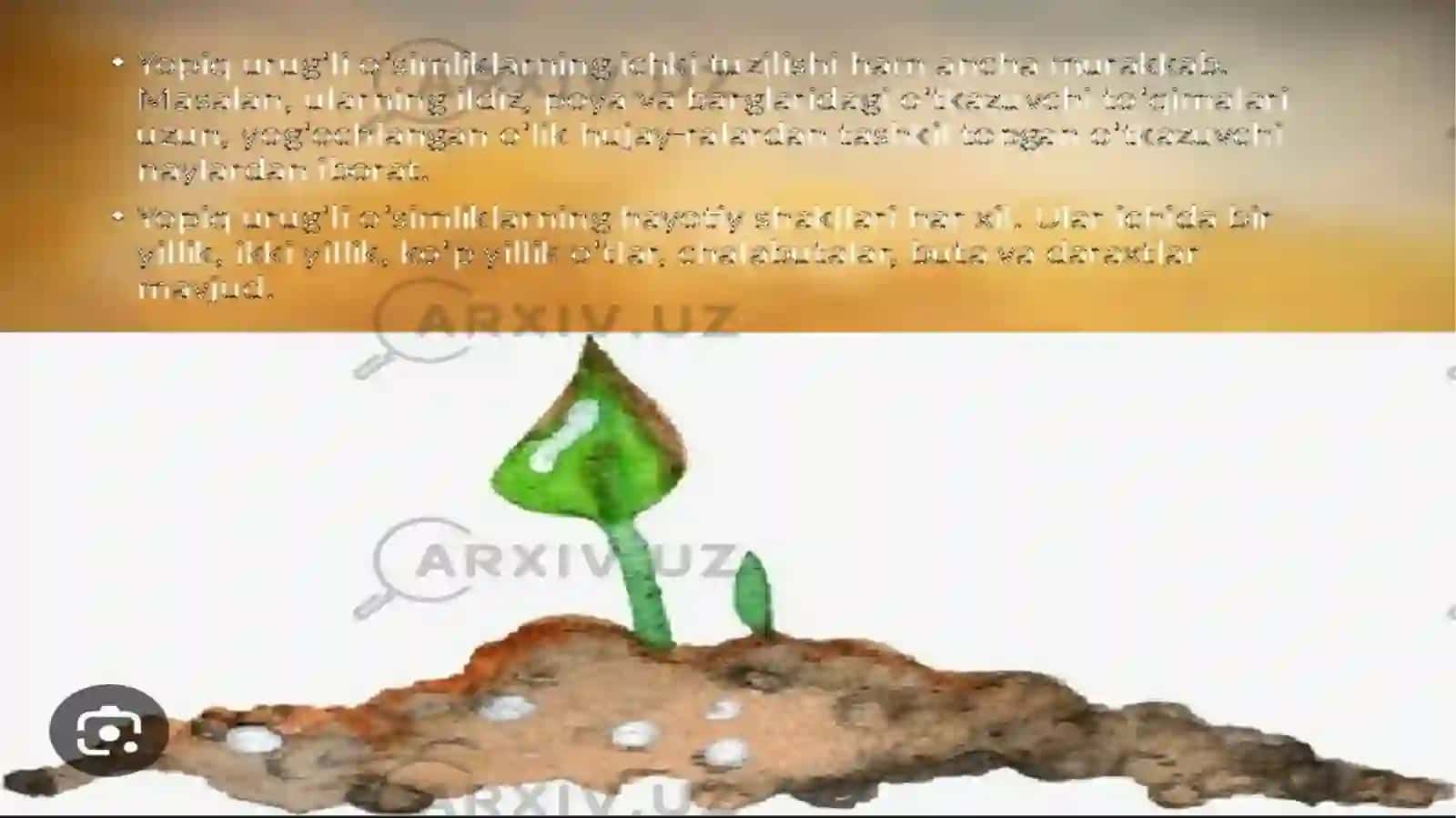 Ochiq va yopiq urugʻli oʻsimliklar 3