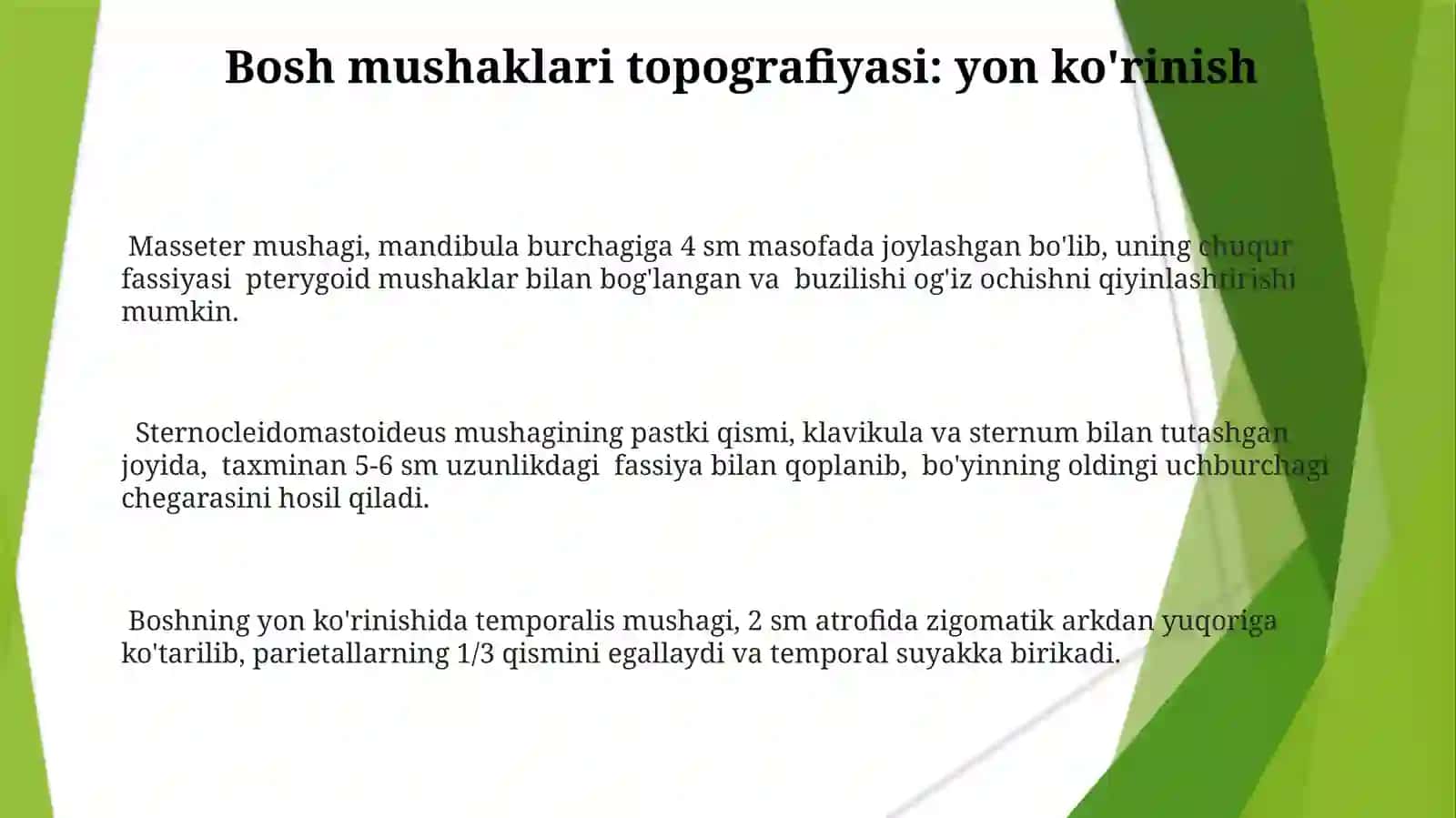 Bosh Mushaklarining Topografik Anatomiyasi 3