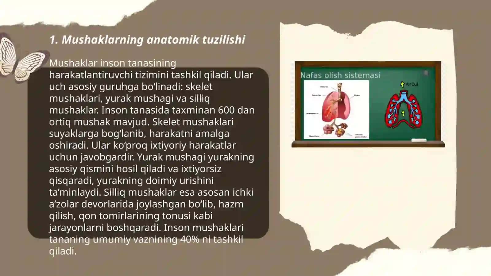 Mushak tuzilishi va uning xillari 3