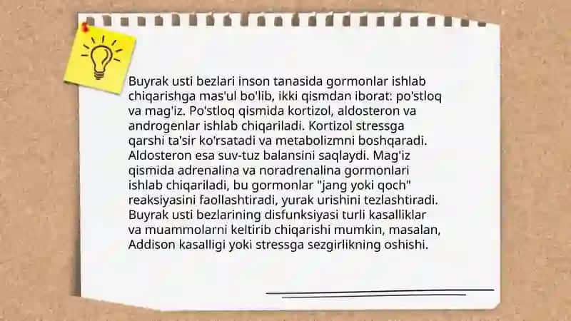 Buyrak usti bezi gormonlari 3