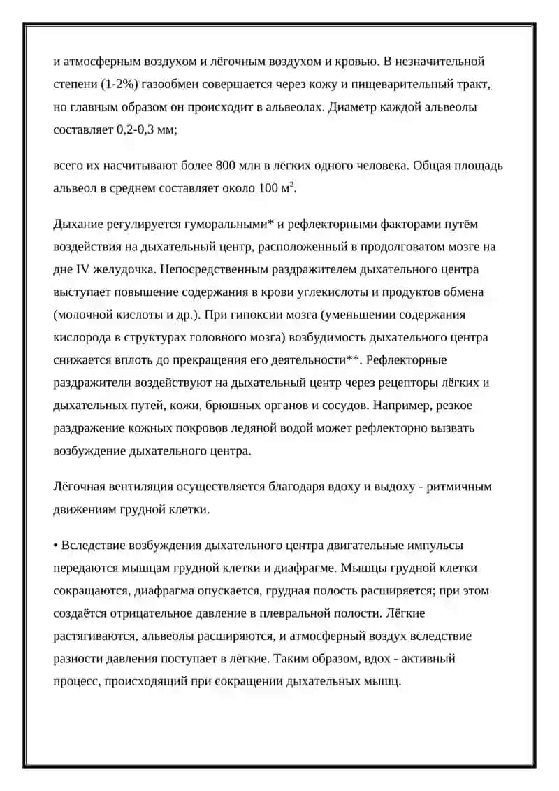 Дыхательная система 3