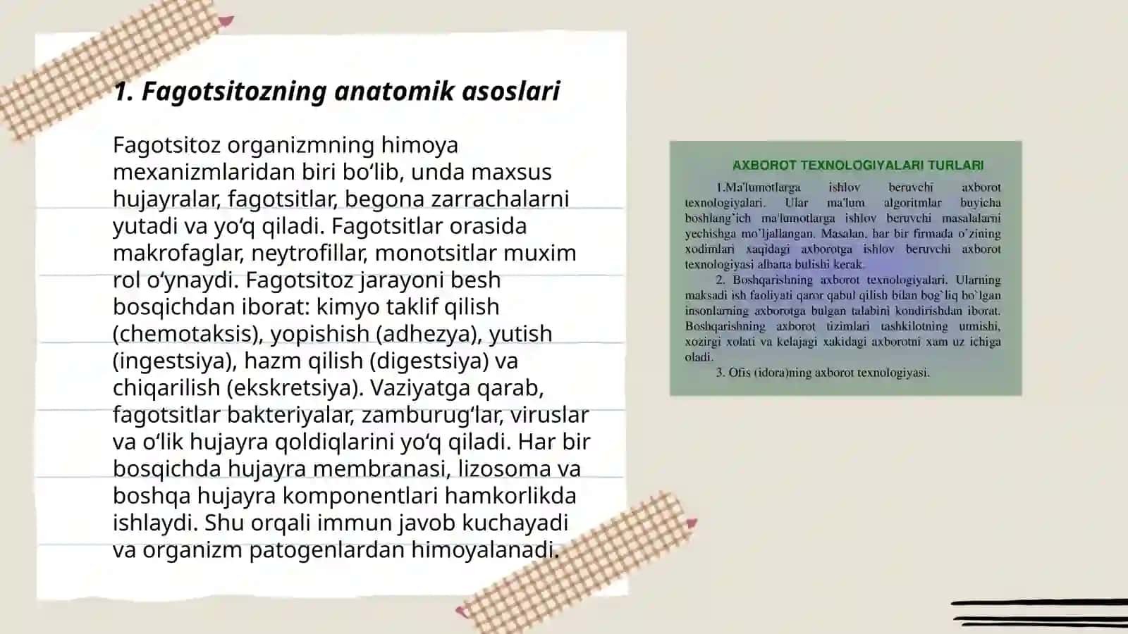 Fagotsitoz va uning bosqichlarini oʻrganish 3