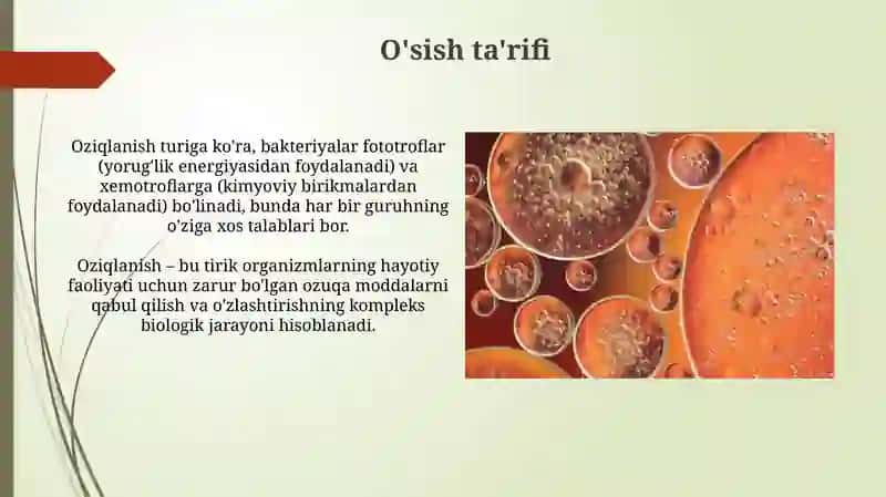 Bakteriyalarning Fiziologiyasi 3