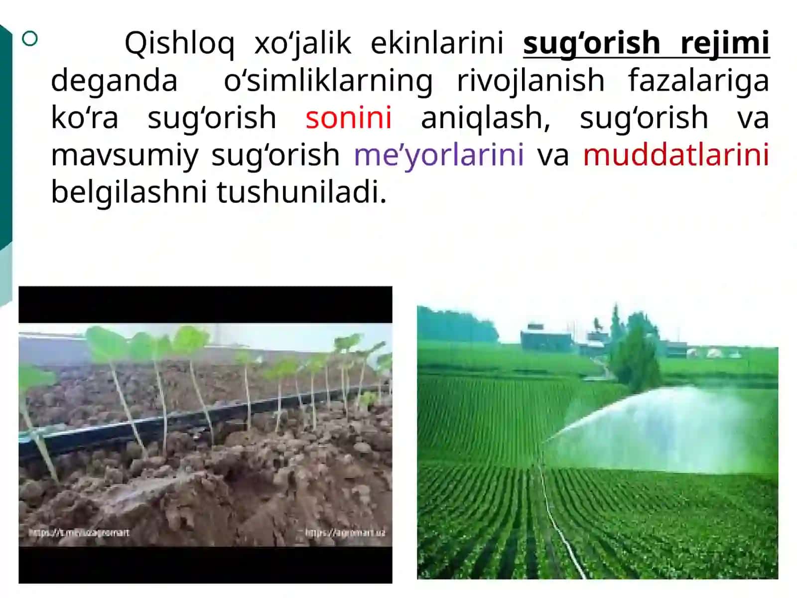 Sug‘orish usullari va texnikalari 3