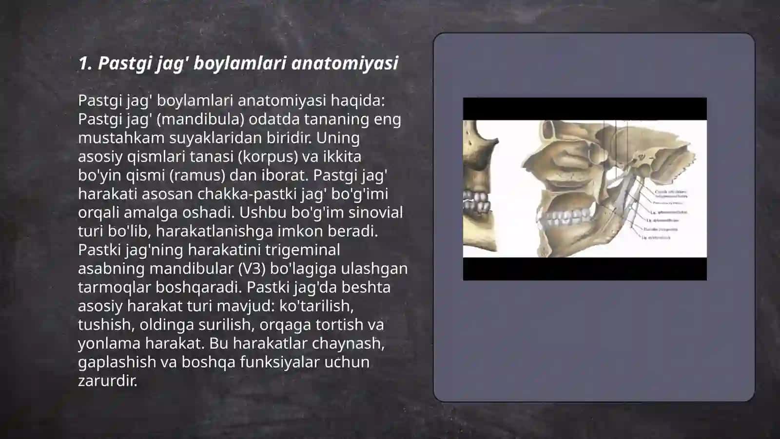 Pastgi jag’ boylamlari anatomiyasi 3