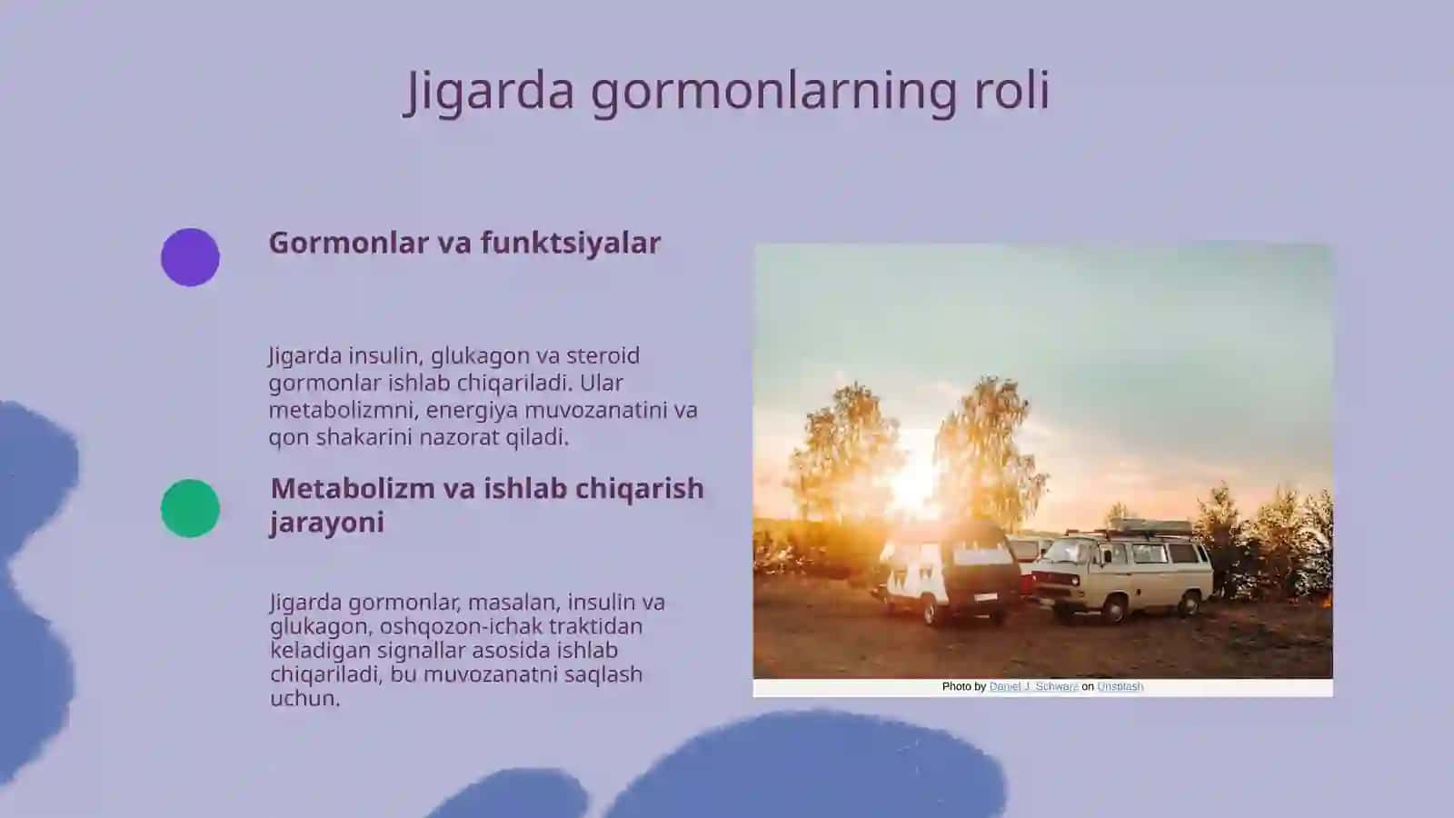 Gormonlar va jigarda gormonlarning roli 3