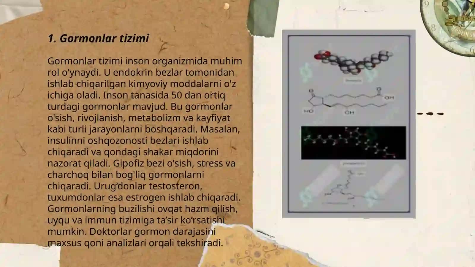 Gormonoidlar 3