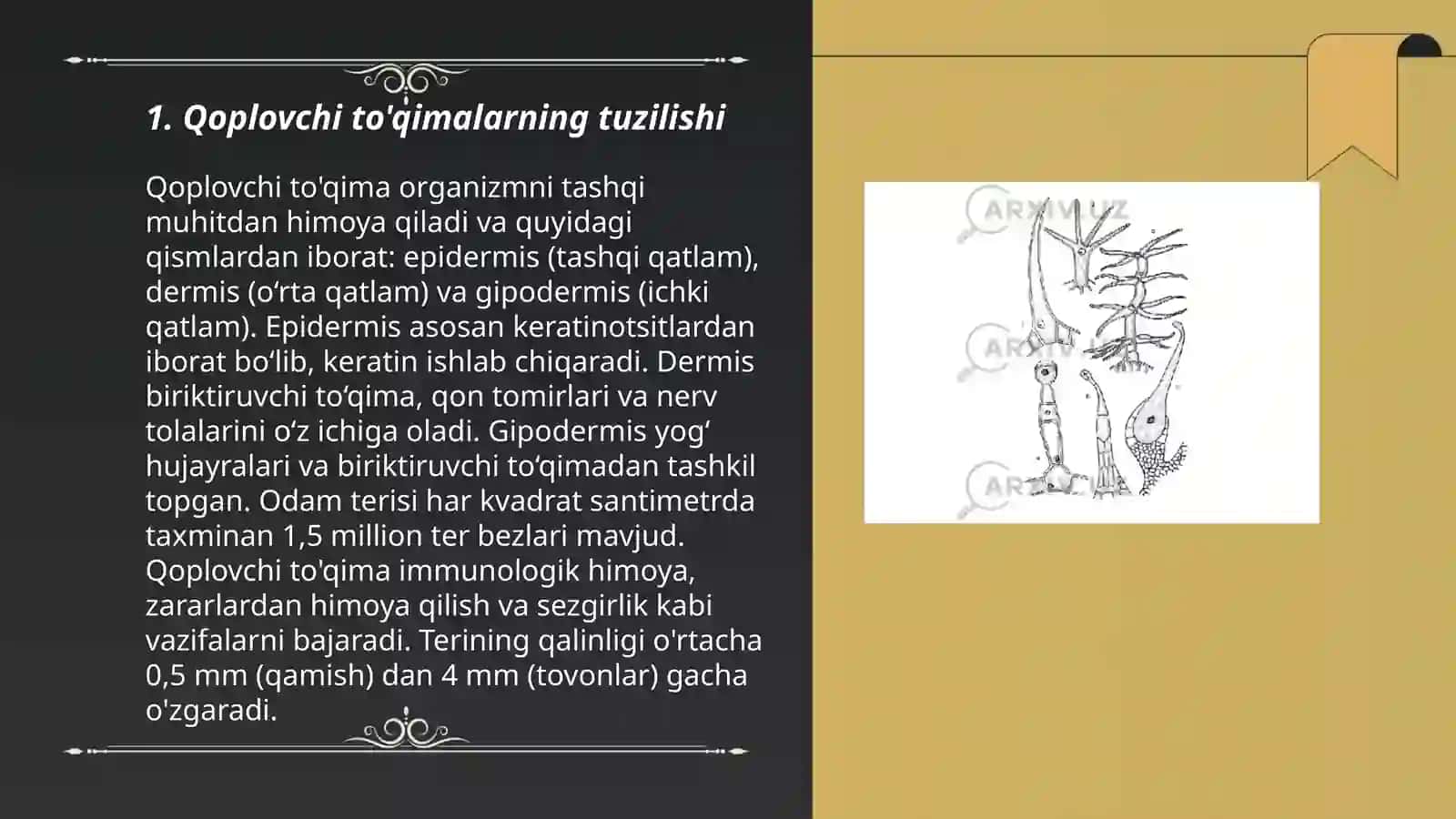 Qoplovchi toʻqima va ularning turlari 3