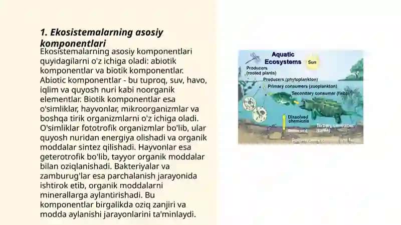 Ekosistemalarning tarkibiy qismlari 3