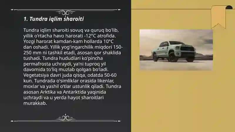 Tundra zonasi 3