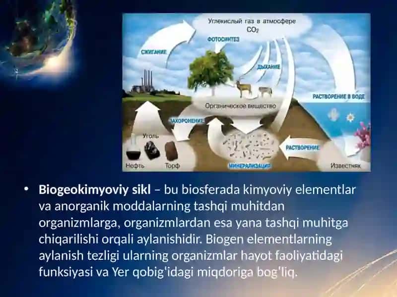 Biogeo kimyoviy sikl 3
