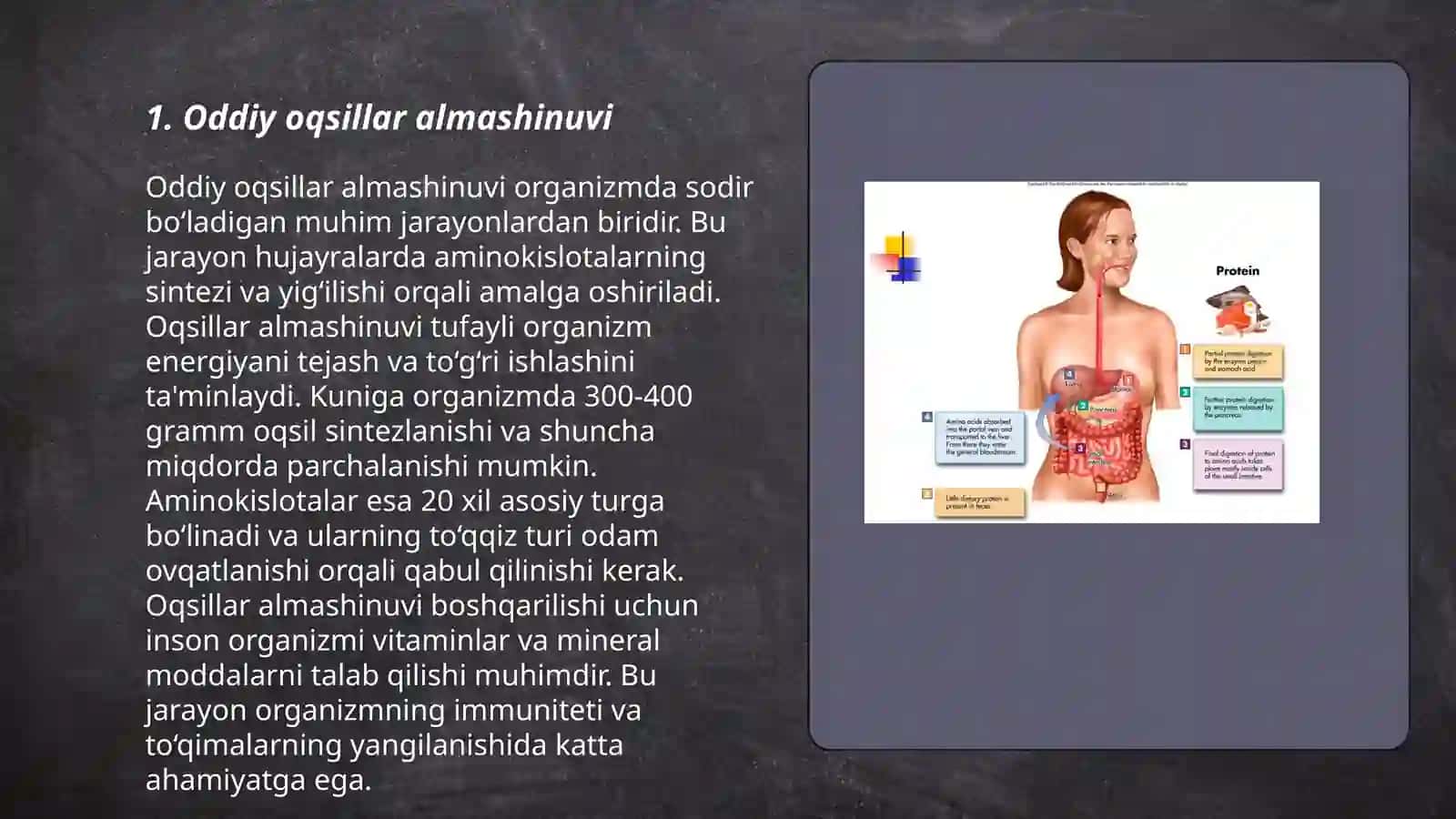 Oqsillar almashinuvi 3