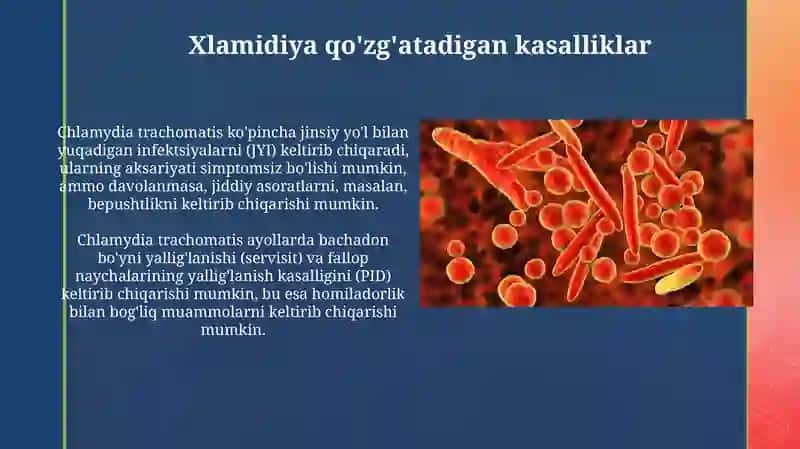 Chlamydia va Mikoplazma 3