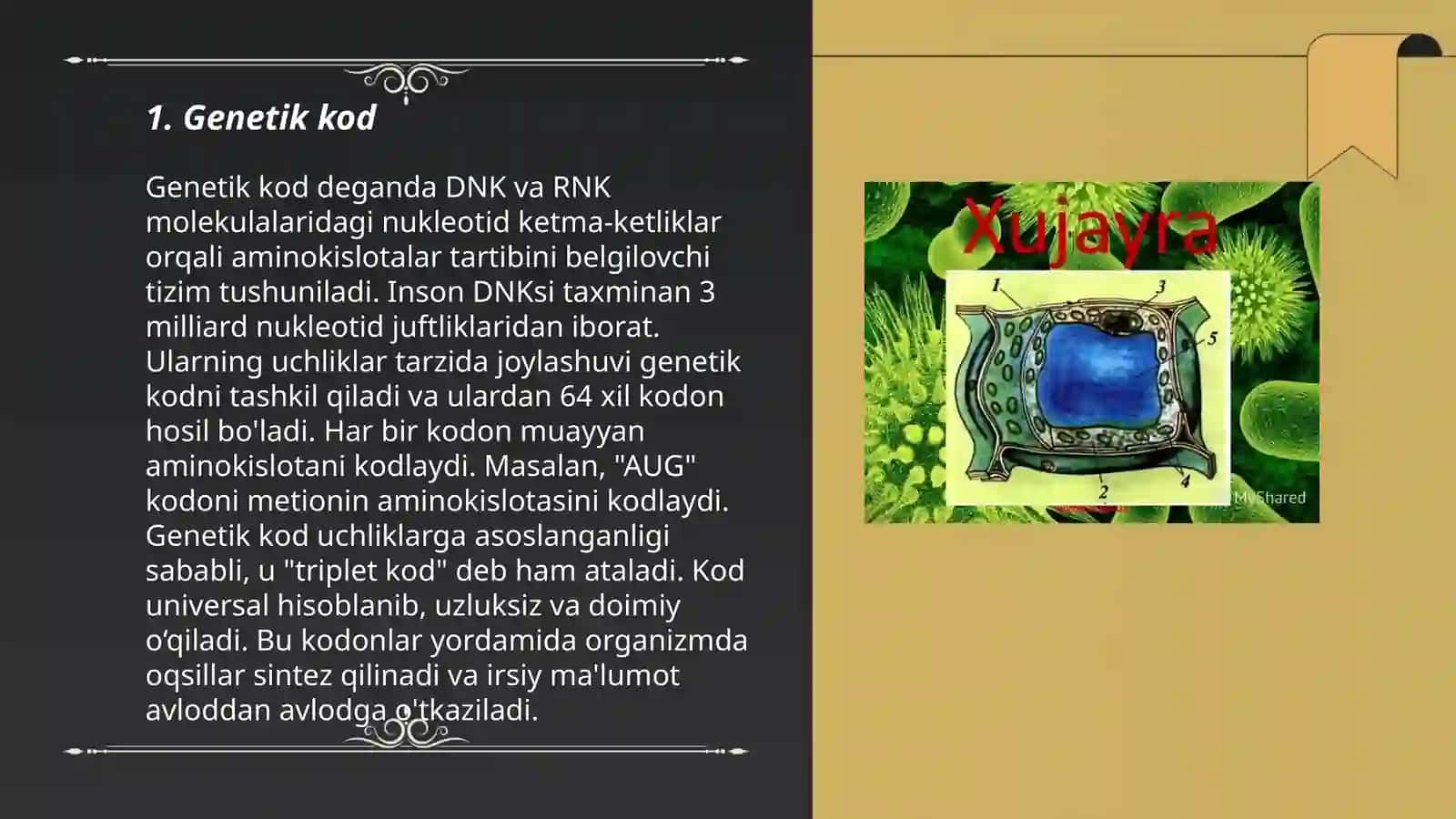 HUJAYRA BIOLOGIYASI 3