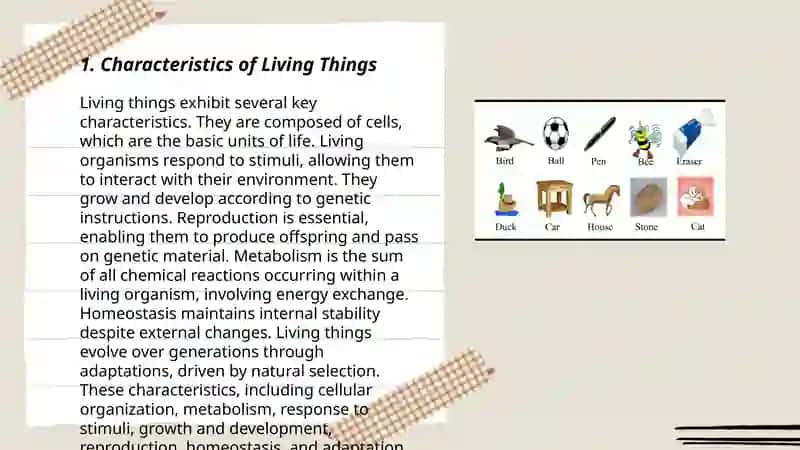 Characteristics of Living Things 3