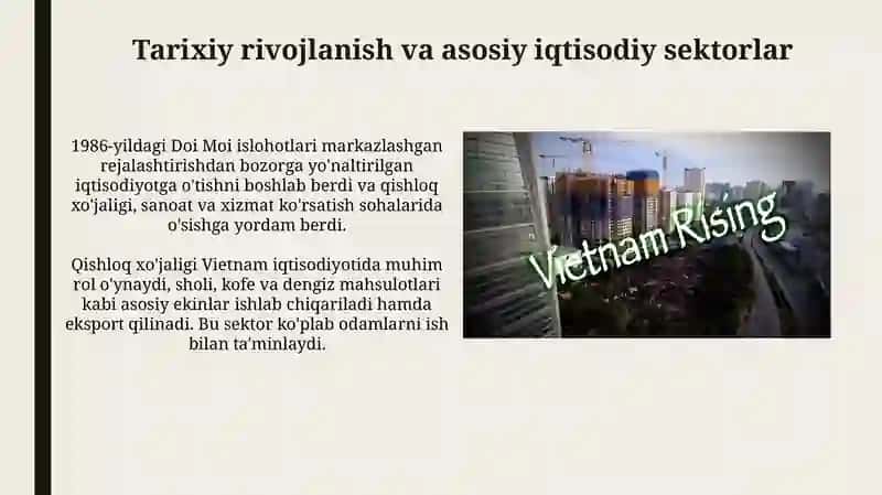 Vitnam iqtisodiy rijlanishi 3