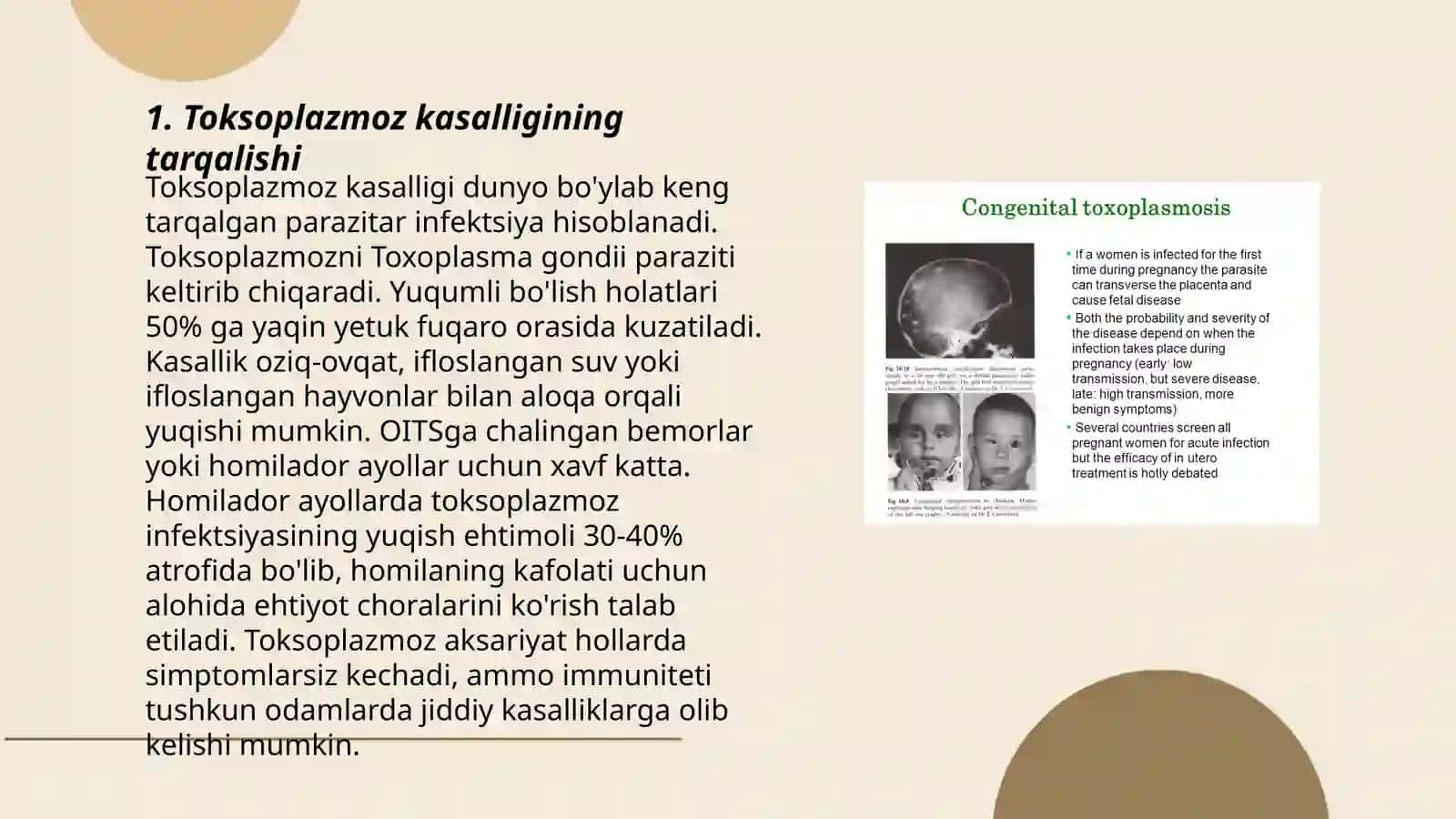 Toksoplazmoz kasalligining qo’zg’atuvchisi 3