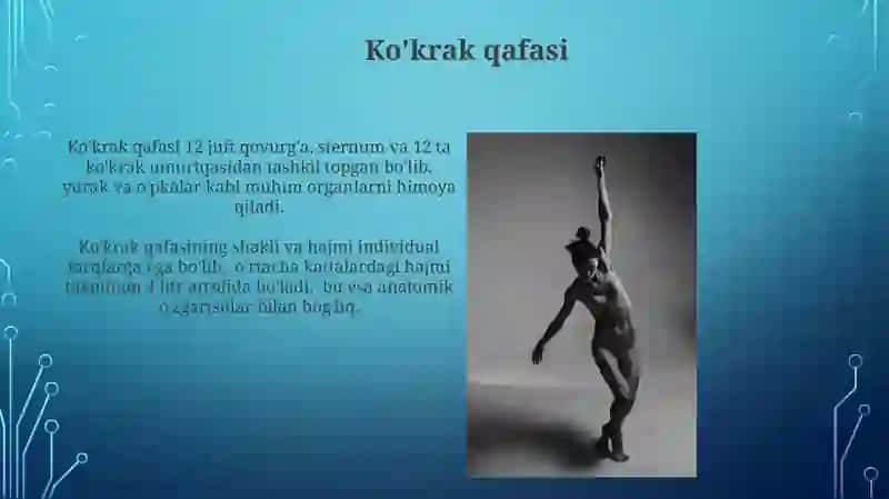 Lotin tili gaplarining strukturasi 3