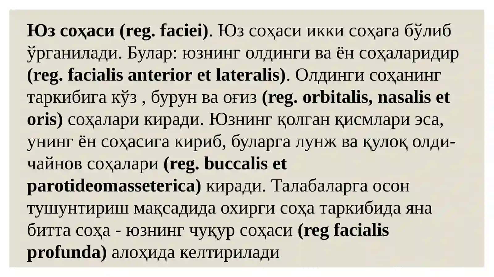 Юзнинг ўлдич анатомияси 3