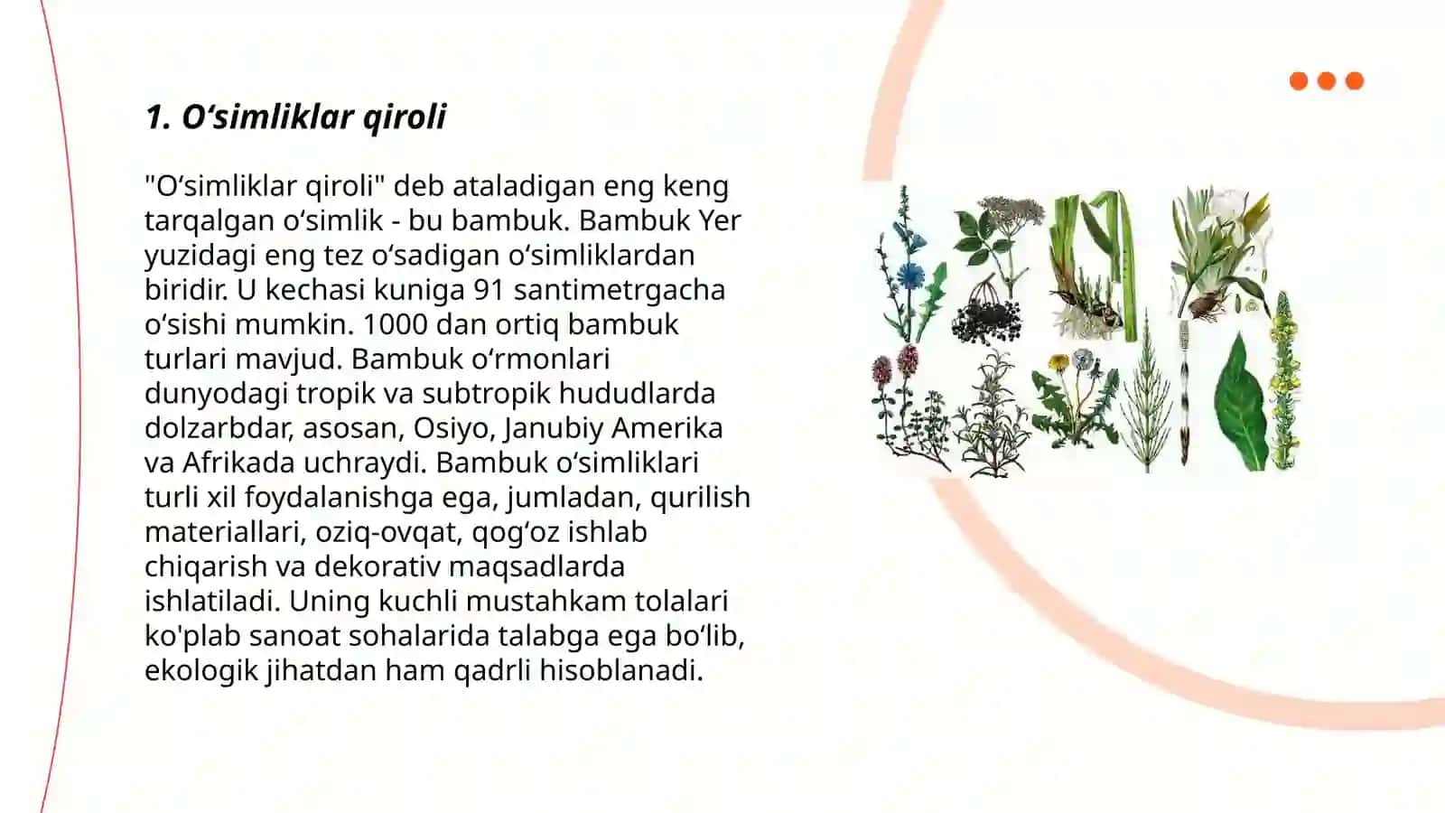Oʻsimliklar qiroli 3