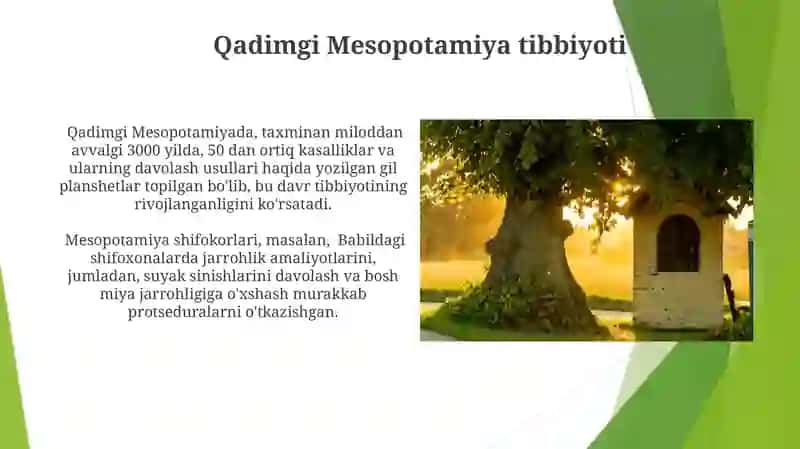 Antik davr tabiblari 3