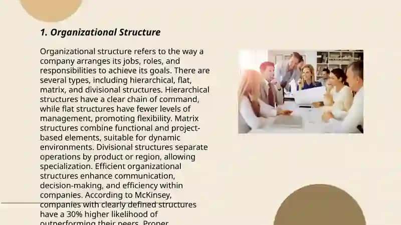 Business organization and people 3