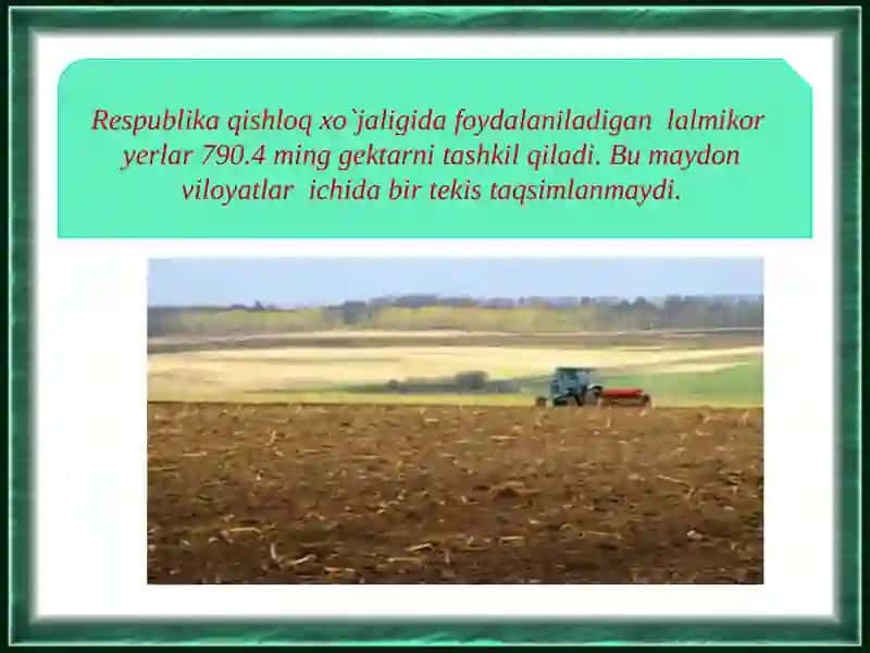 Lalmikoryerlarnibaholash 3