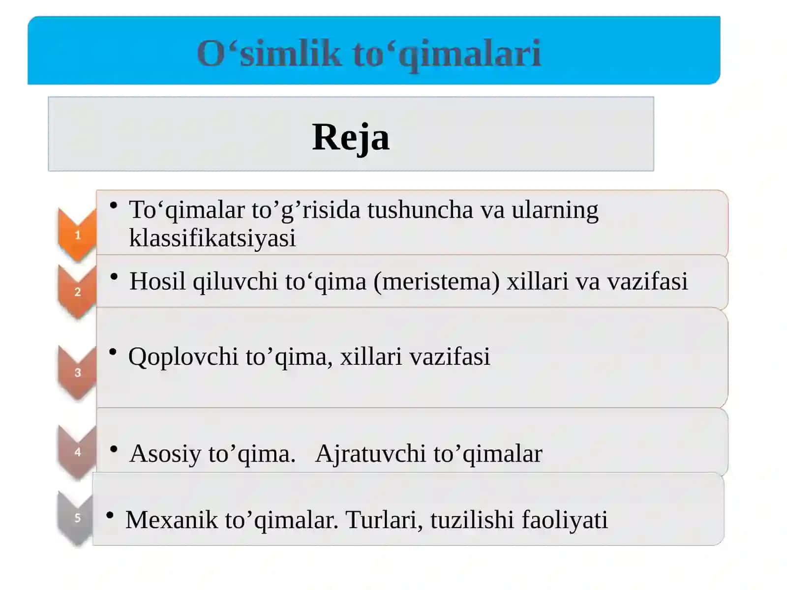 O’simlikto‘qimalari 3