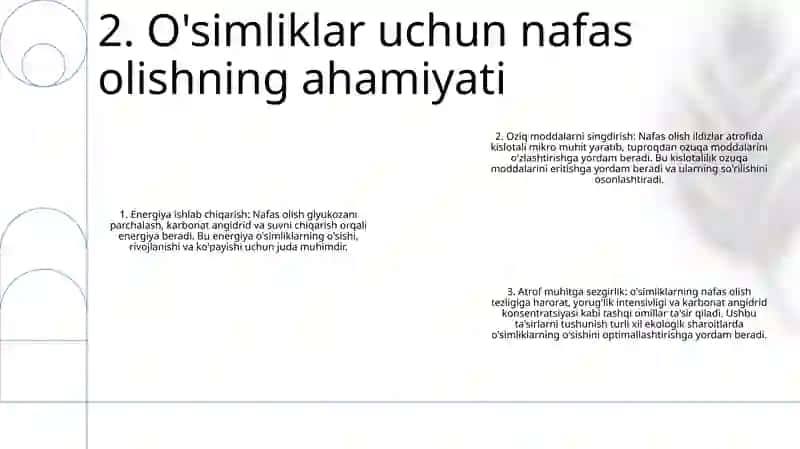 Nafas Olishga Ta’Sir So’rash 3