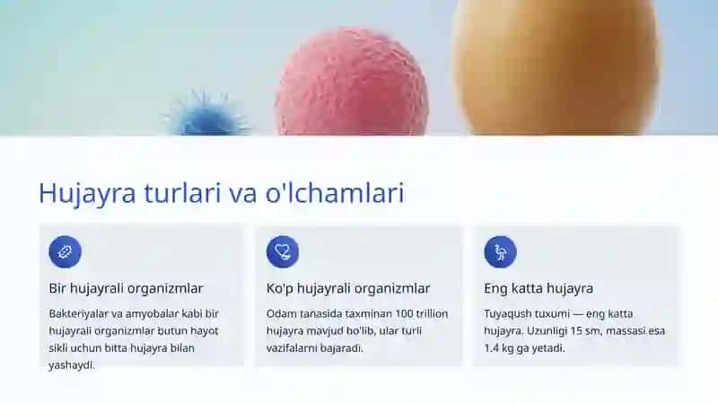 Hujayra turlari va o'lchamlari 3