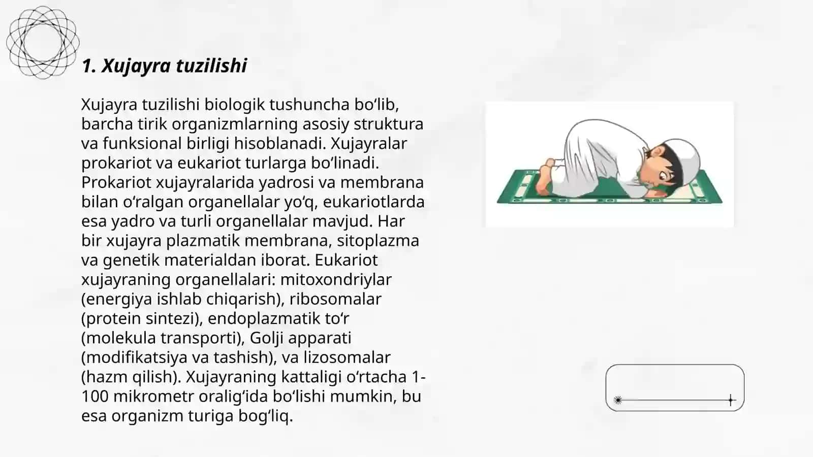 Xujayra nazaryasi 3