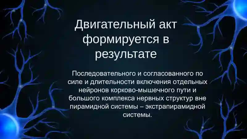 Экстрапирамидная система 3