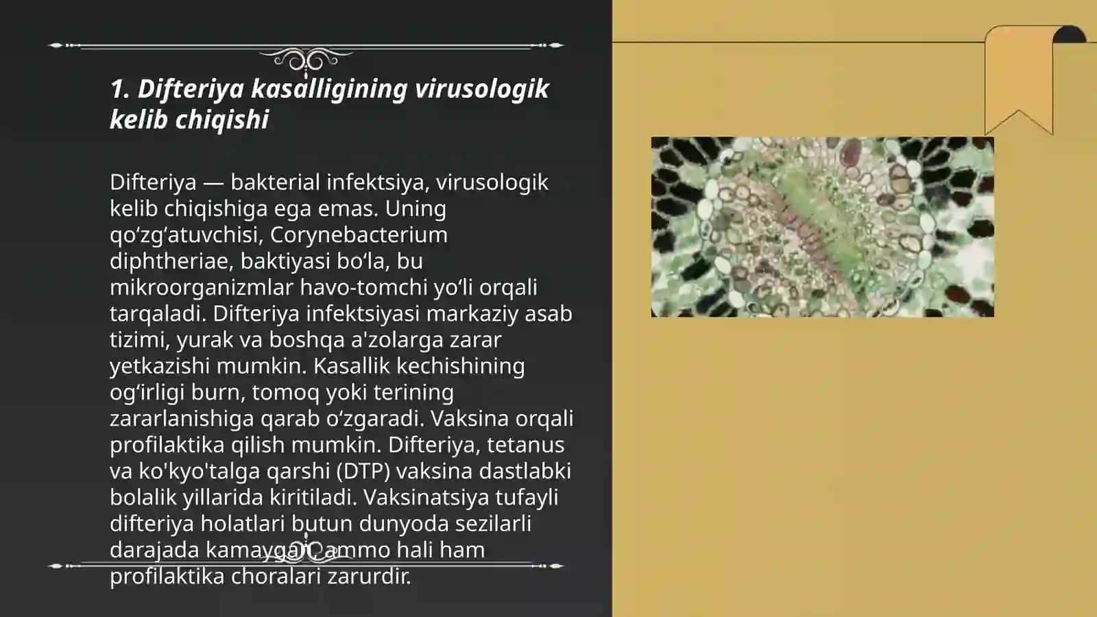 Difteriya kasalligining kelib chiqish sabablari va asoratlari 3