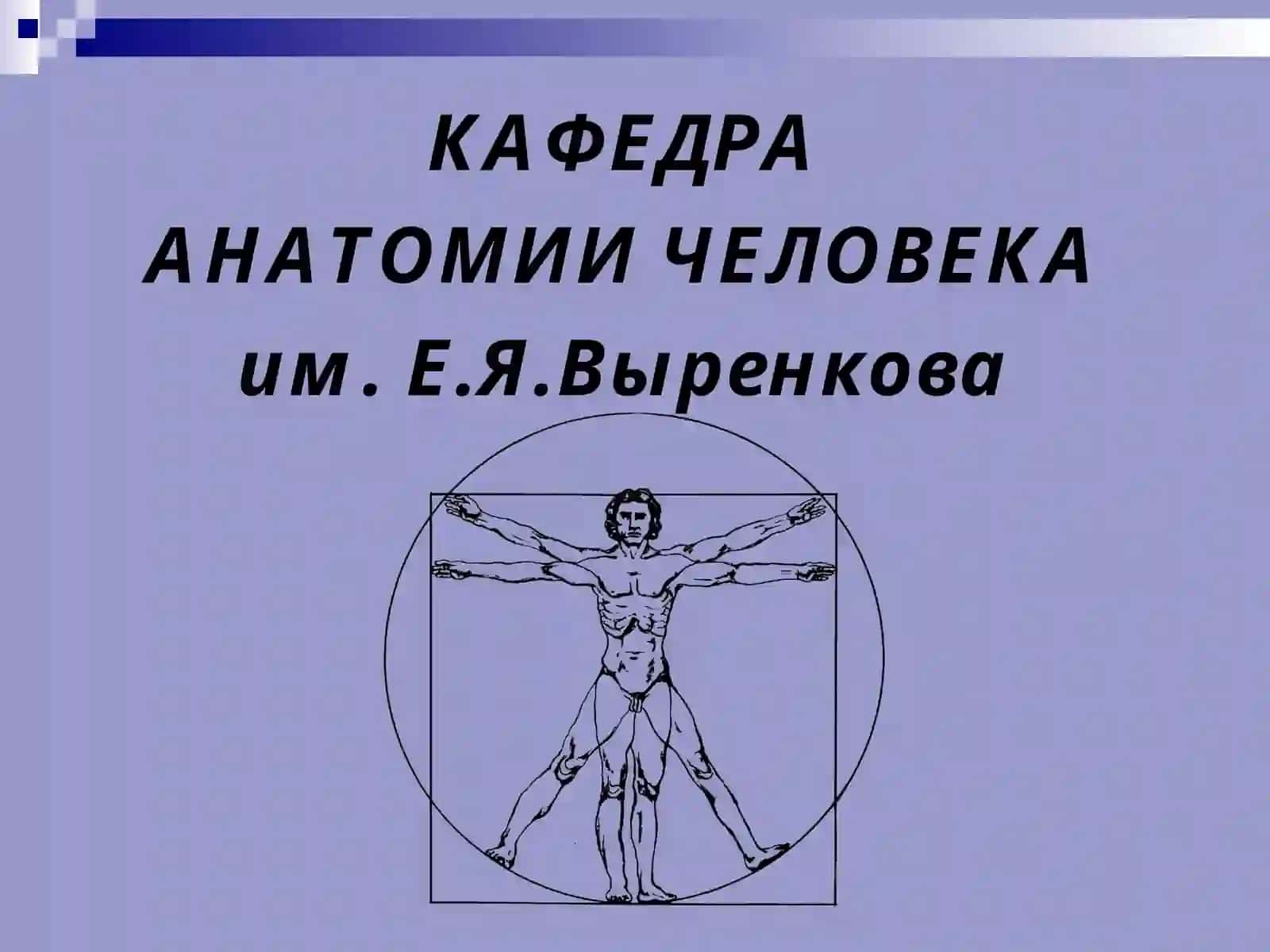 Введение в анатомию 3
