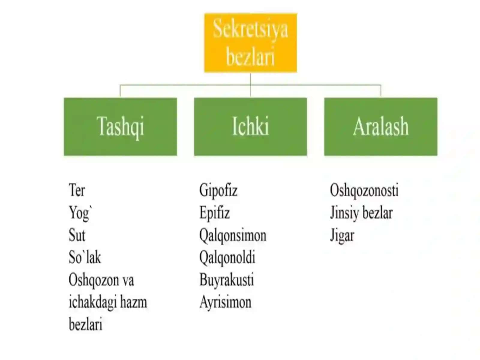 Endokrinbezlartizimi 3