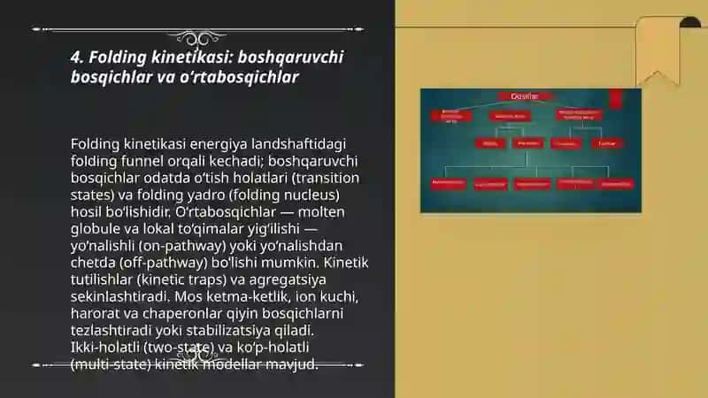 Immunoglobulin oqsillari 3