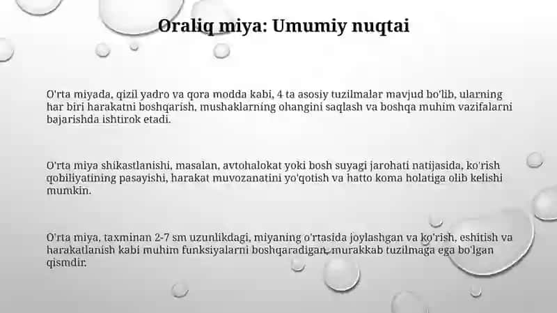O'rta miya Oraliq miya 3