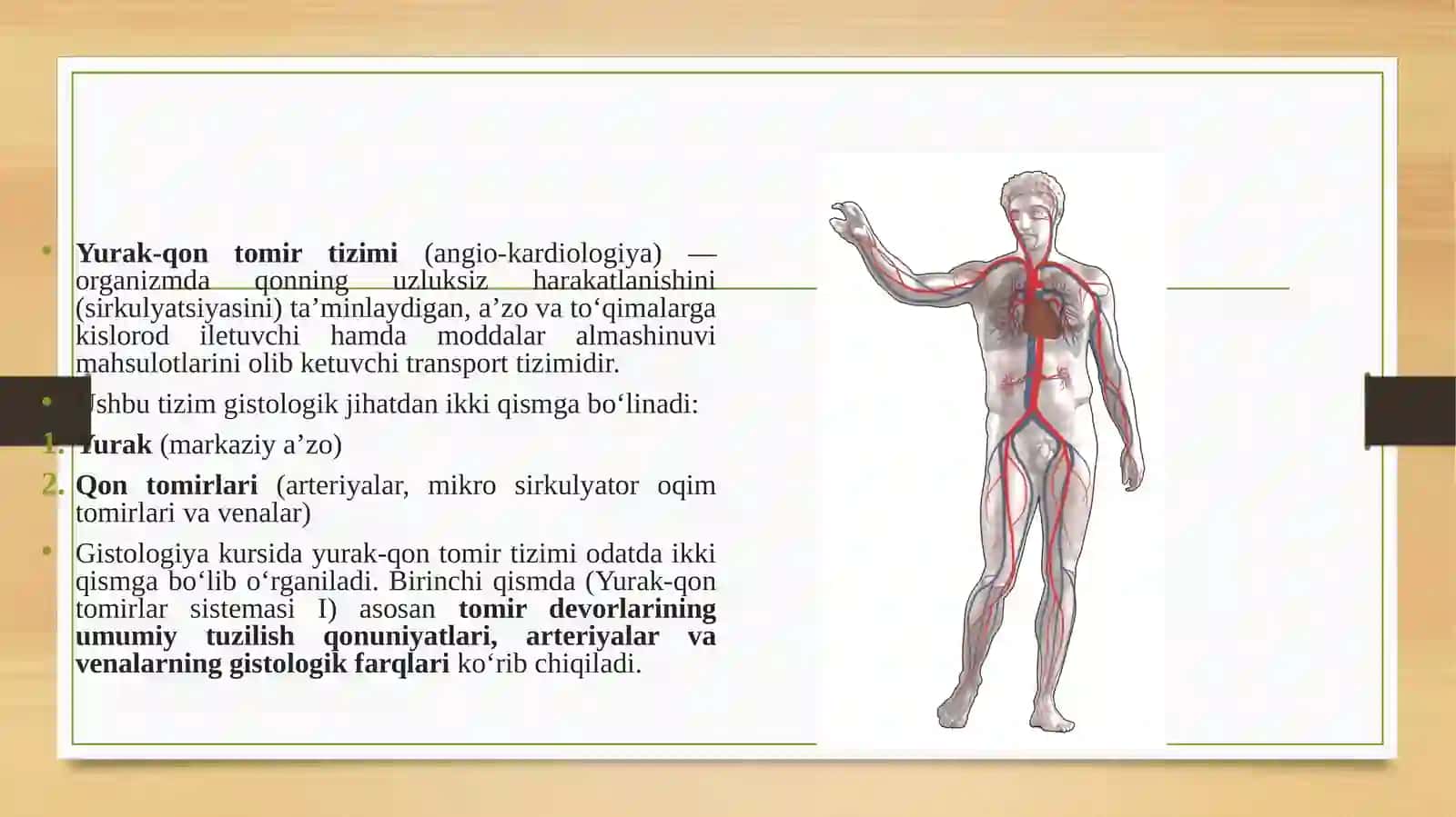 Yurak qon tomirlar sistemasi 3