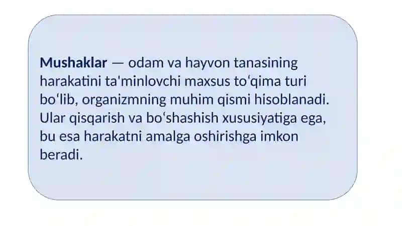 Mushaklar 3