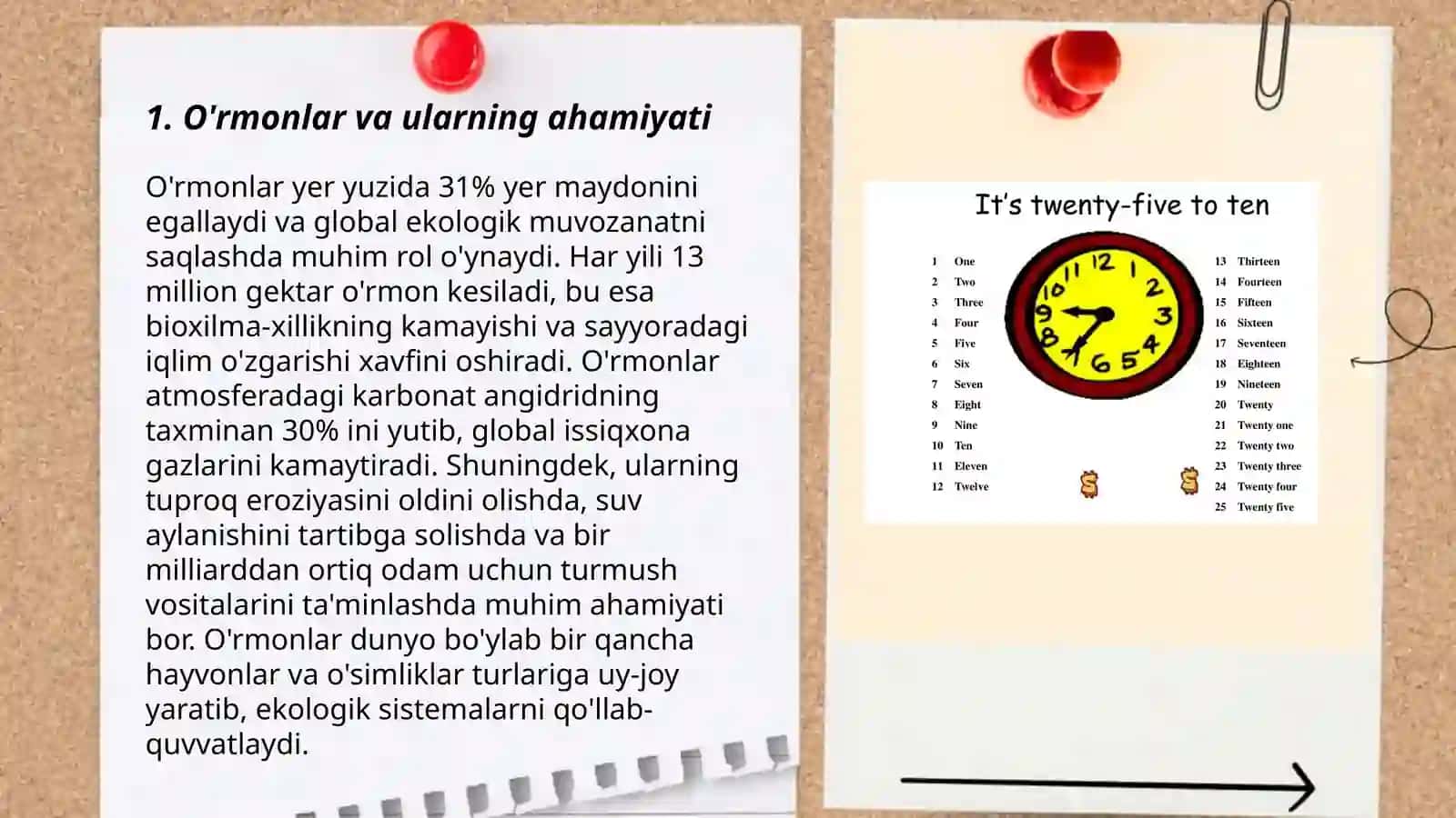 O'rmonlar va ularning ahamiyati 3