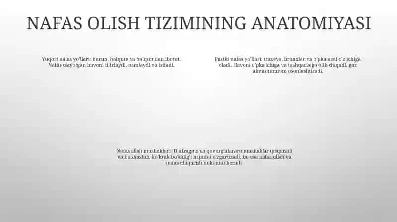Nafas Olish Fizialogiyasi 3