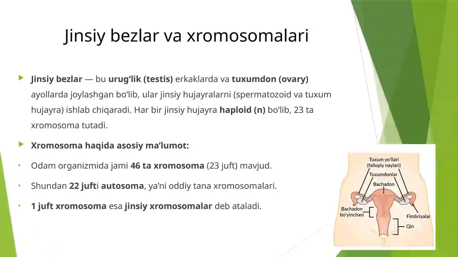 Jinsiybezfiziologiyasi 3