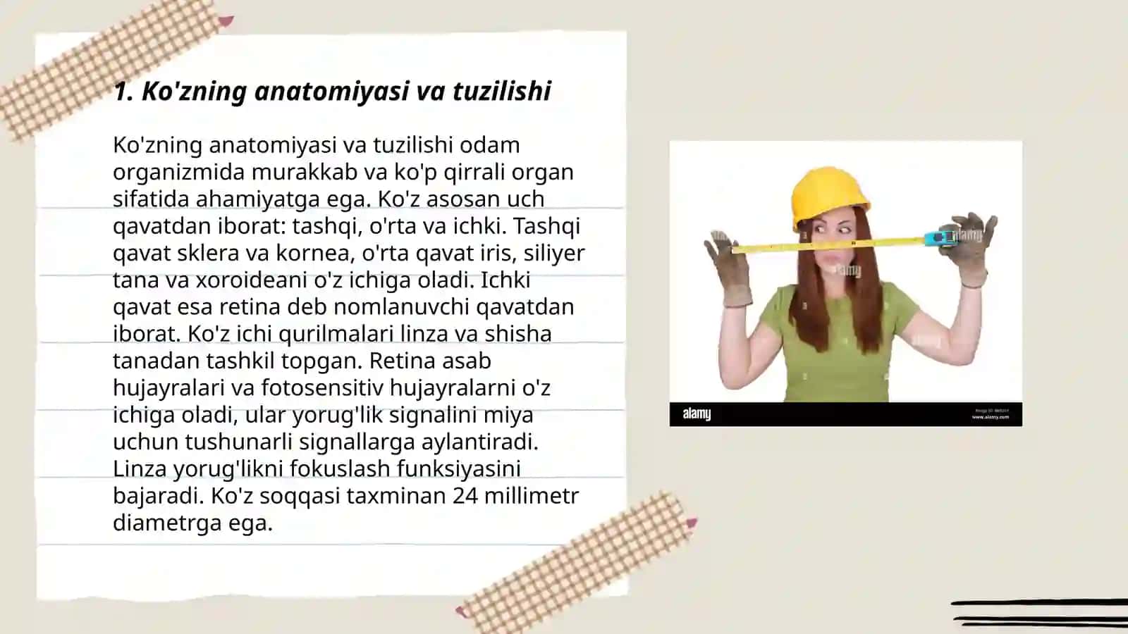 Ko'zing anatomiyasi va tuzilishi 3