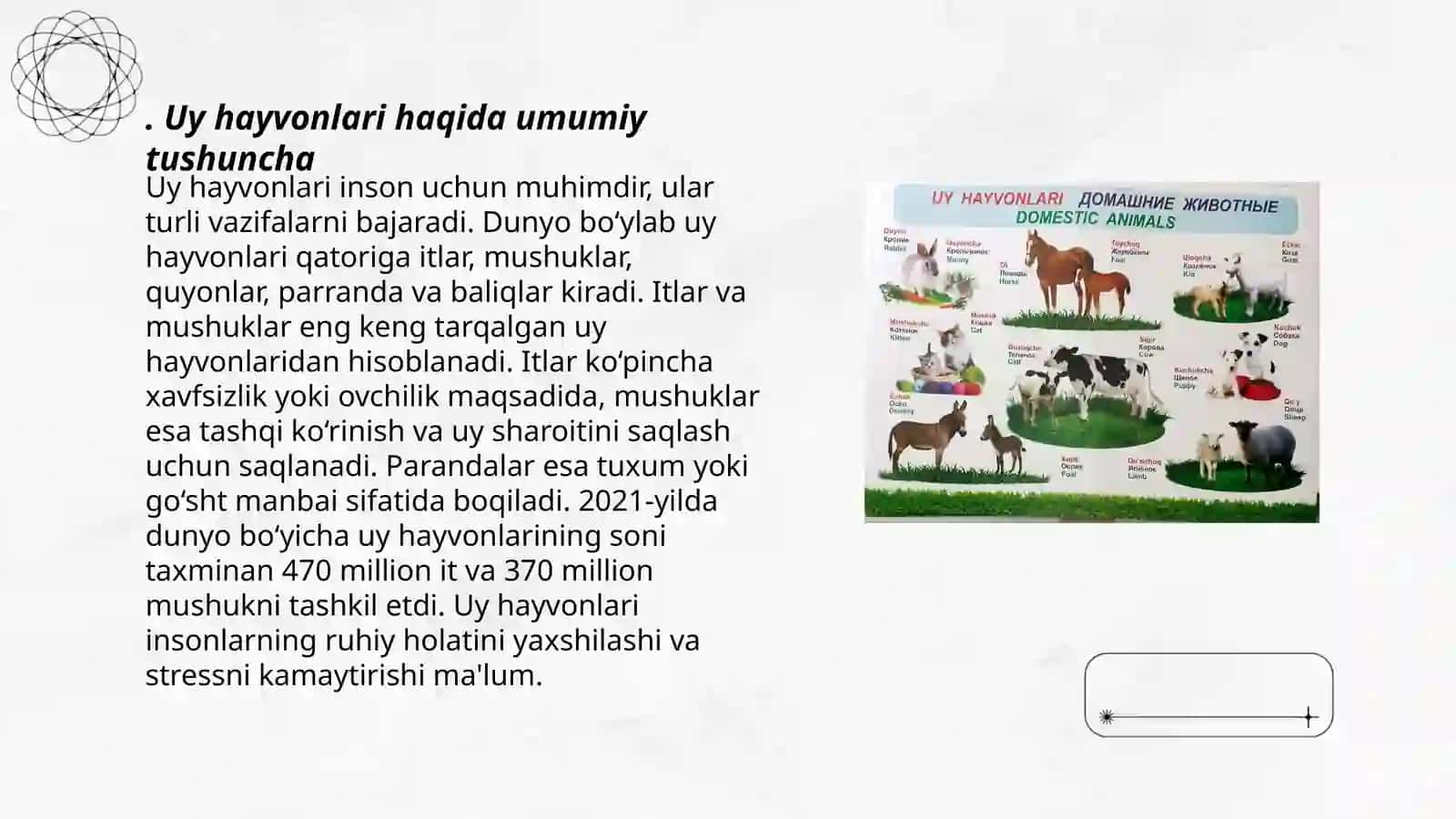 Uy hayvonlari 3