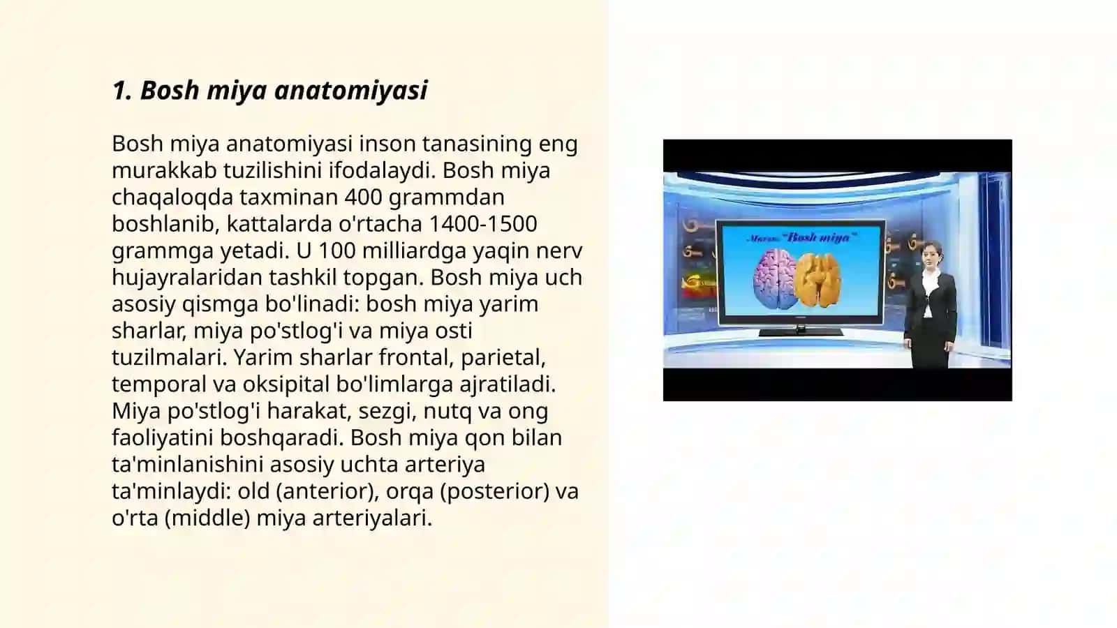 bosh miya 3