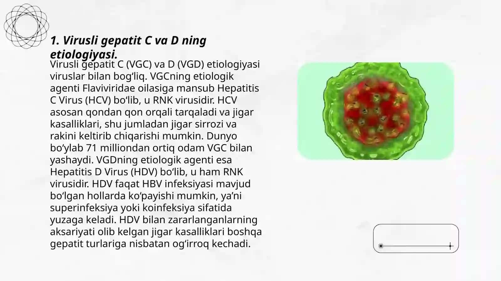 Virusli gepatit C va D etiologiyasi 3